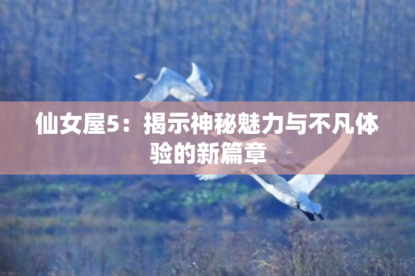 仙女屋5：揭示神秘魅力与不凡体验的新篇章