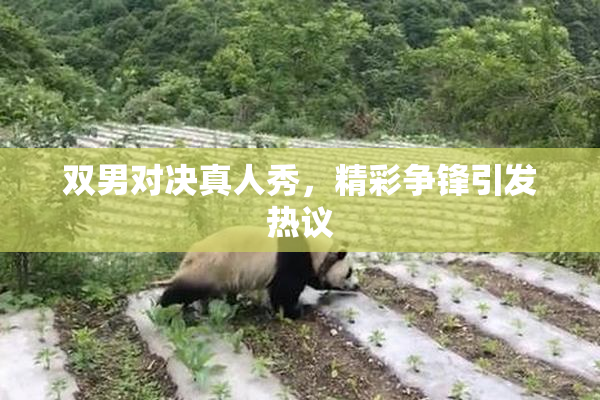 双男对决真人秀，精彩争锋引发热议