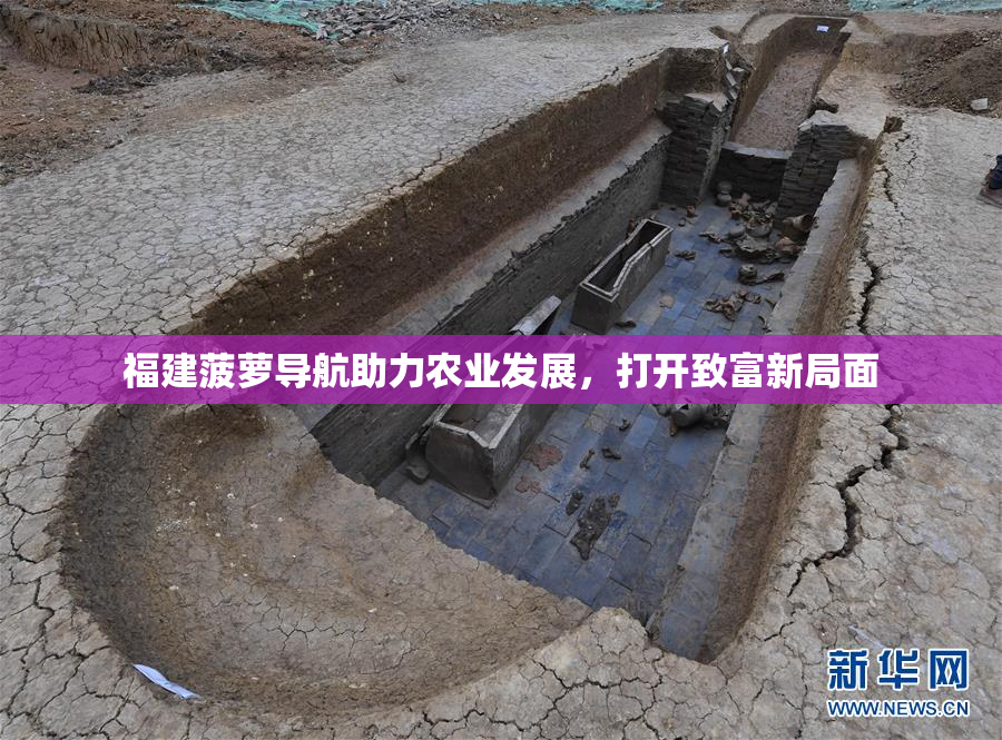 福建菠萝导航助力农业发展，打开致富新局面