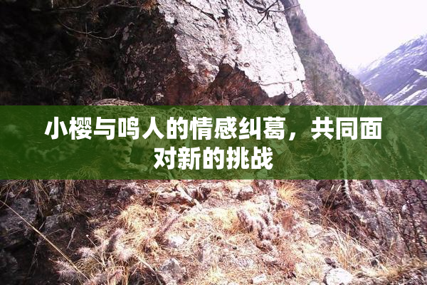 小樱与鸣人的情感纠葛，共同面对新的挑战