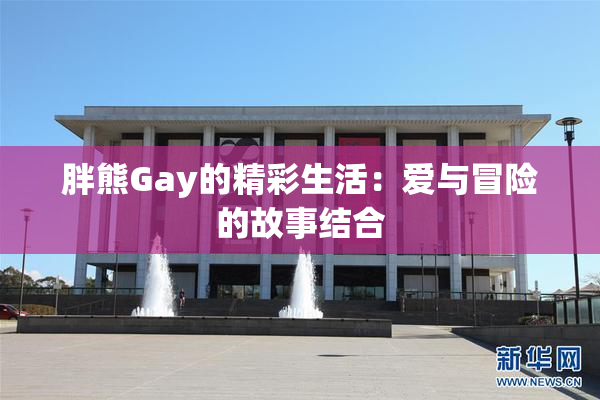胖熊Gay的精彩生活：爱与冒险的故事结合