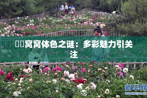 妺妺窝窝体色之谜：多彩魅力引关注