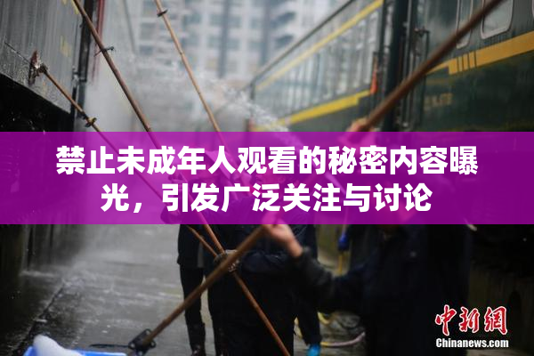 禁止未成年人观看的秘密内容曝光，引发广泛关注与讨论