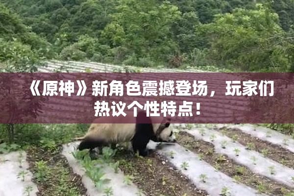 《原神》新角色震撼登场，玩家们热议个性特点！