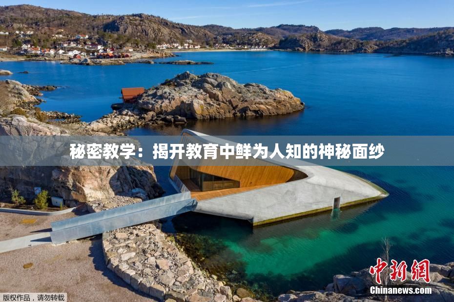 秘密教学：揭开教育中鲜为人知的神秘面纱