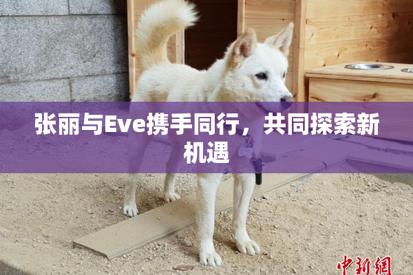 张丽与Eve携手同行，共同探索新机遇
