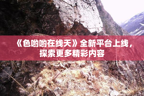 《色哟哟在线天》全新平台上线，探索更多精彩内容