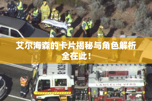 艾尔海森的卡片揭秘与角色解析全在此！