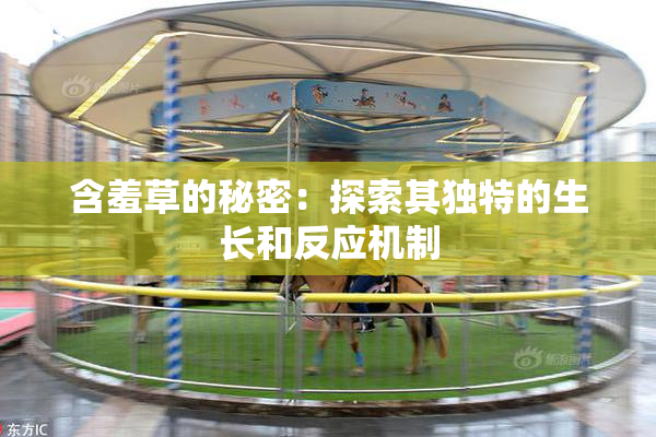 含羞草的秘密：探索其独特的生长和反应机制