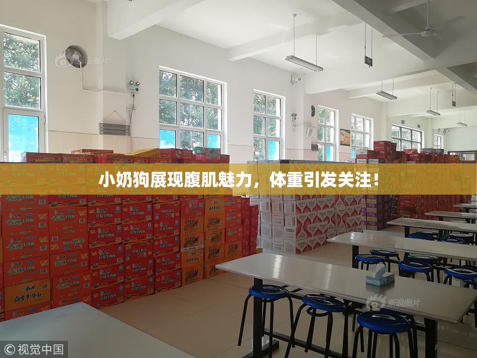 小奶狗展现腹肌魅力，体重引发关注！