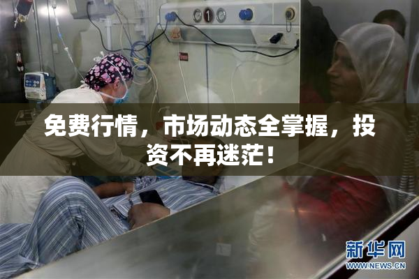 免费行情，市场动态全掌握，投资不再迷茫！