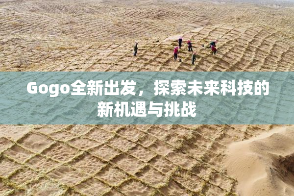 Gogo全新出发，探索未来科技的新机遇与挑战