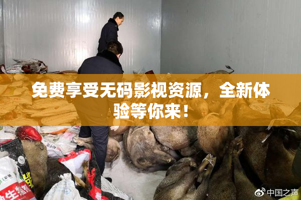 免费享受无码影视资源，全新体验等你来！