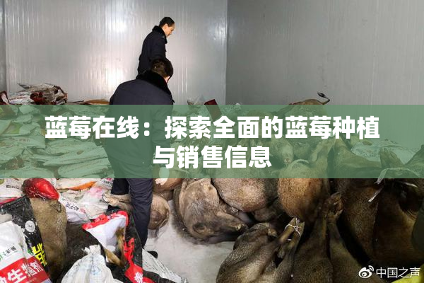 蓝莓在线：探索全面的蓝莓种植与销售信息