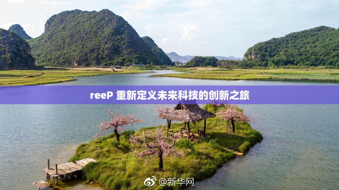reeP 重新定义未来科技的创新之旅