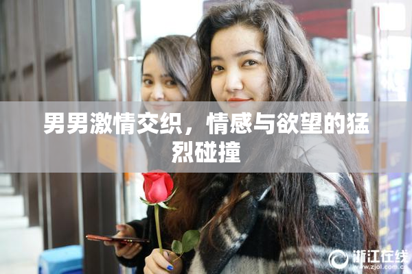 男男激情交织，情感与欲望的猛烈碰撞