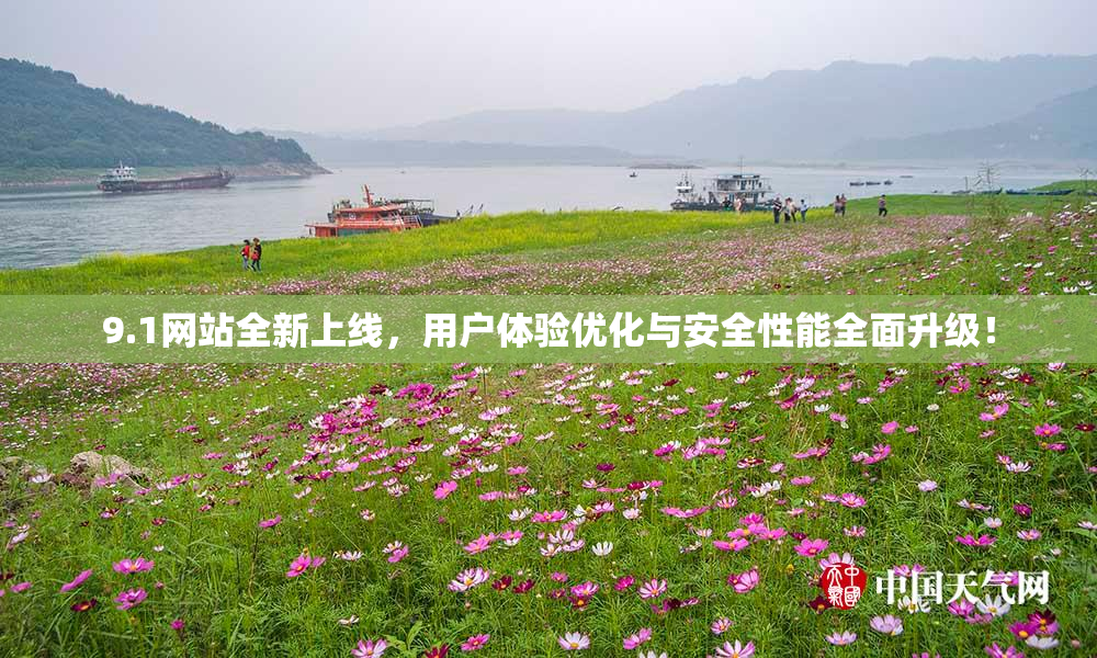 9.1网站全新上线，用户体验优化与安全性能全面升级！