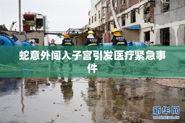 蛇意外闯入子宫引发医疗紧急事件
