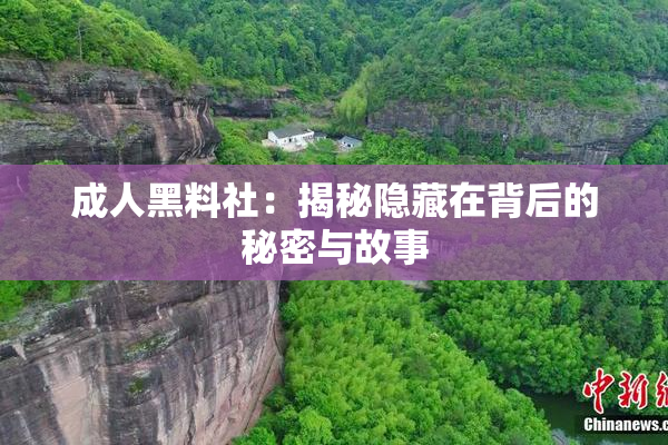成人黑料社：揭秘隐藏在背后的秘密与故事