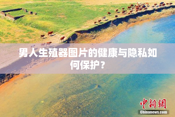 男人生殖器图片的健康与隐私如何保护？