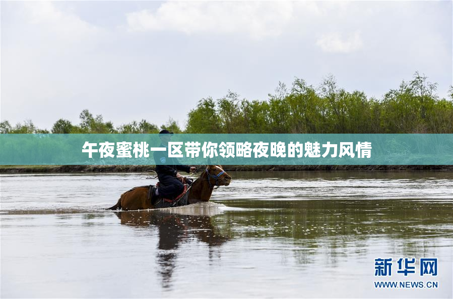 午夜蜜桃一区带你领略夜晚的魅力风情