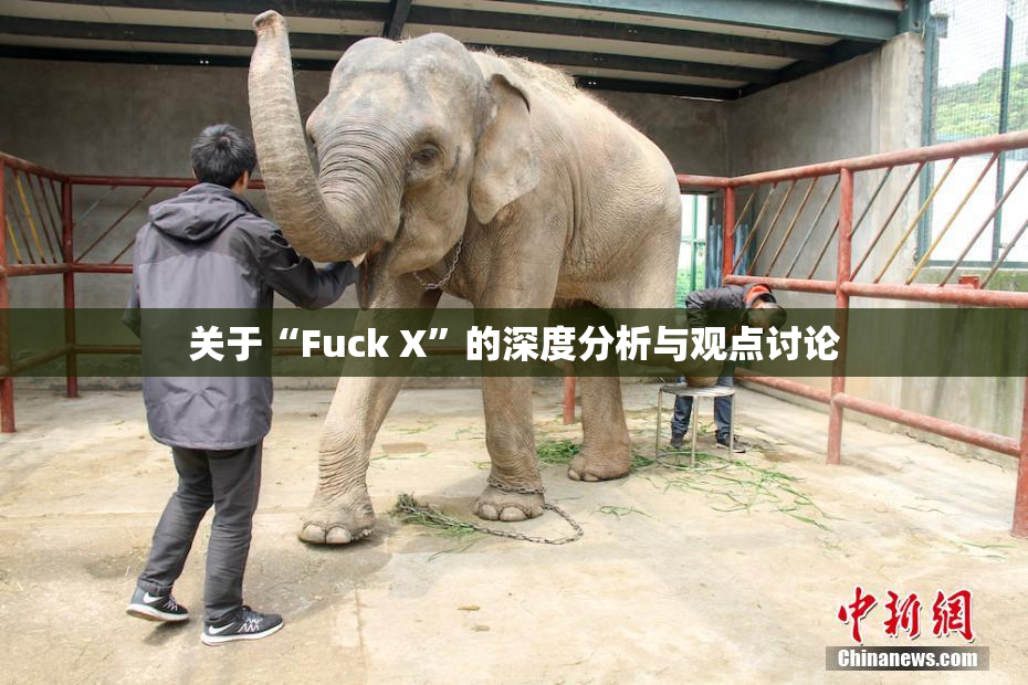 关于“Fuck X”的深度分析与观点讨论