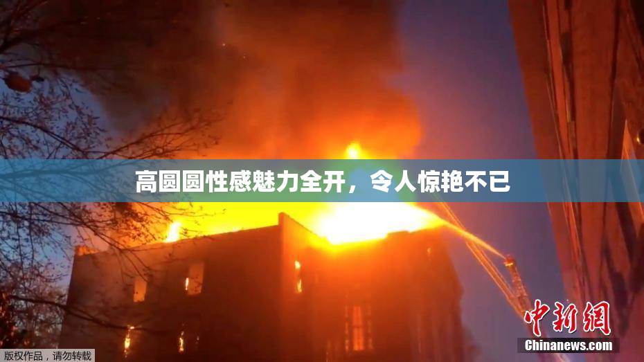 高圆圆性感魅力全开，令人惊艳不已