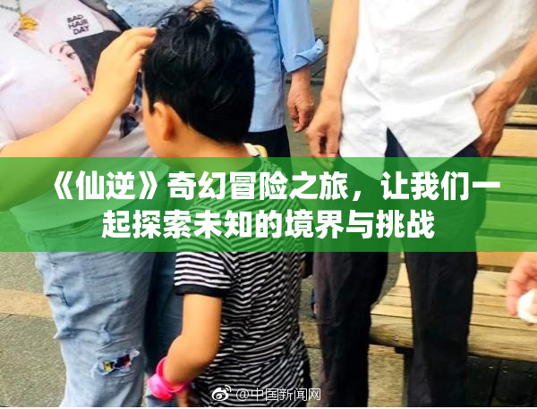 《仙逆》奇幻冒险之旅，让我们一起探索未知的境界与挑战