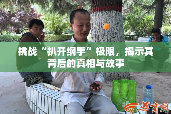 挑战“扒开纲手”极限，揭示其背后的真相与故事