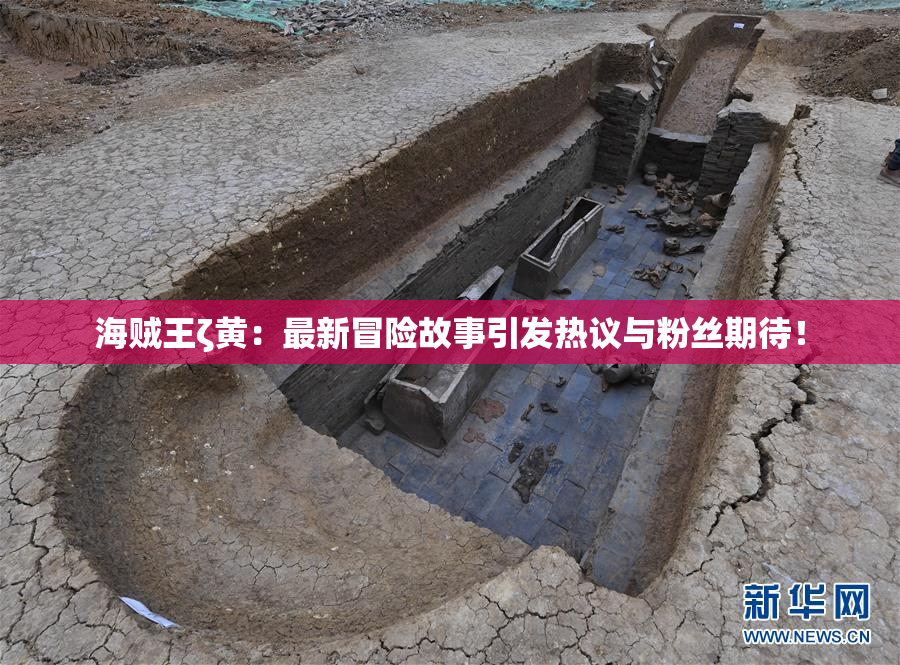 海贼王ζ黄：最新冒险故事引发热议与粉丝期待！
