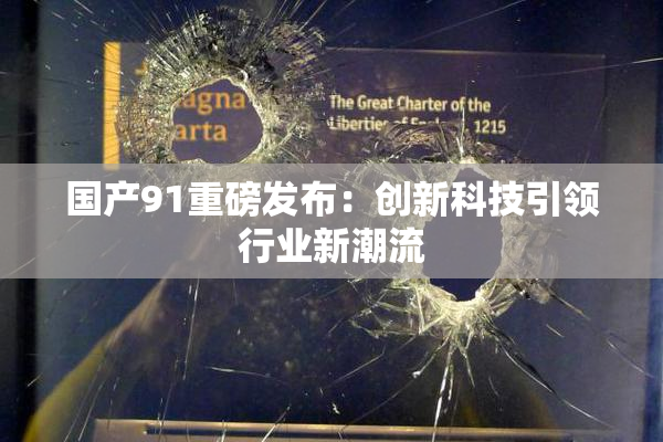 国产91重磅发布：创新科技引领行业新潮流