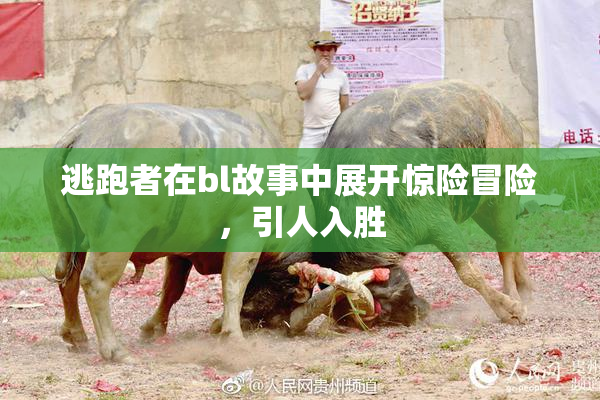 逃跑者在bl故事中展开惊险冒险，引人入胜