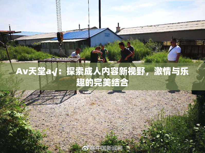 Av天堂a√：探索成人内容新视野，激情与乐趣的完美结合