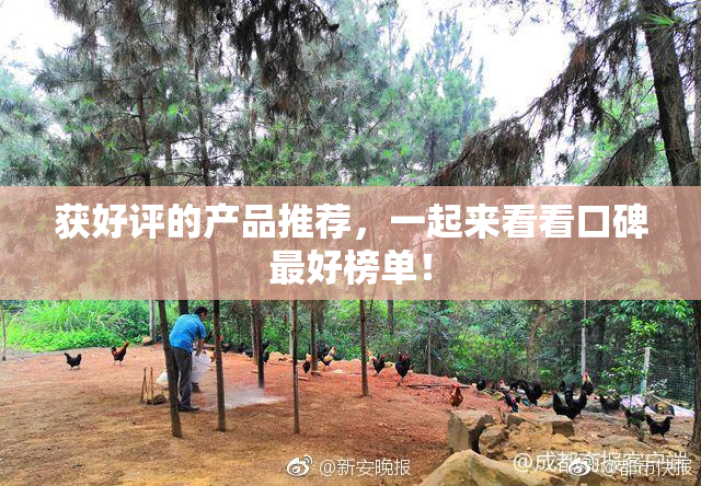 获好评的产品推荐，一起来看看口碑最好榜单！