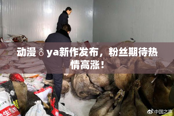 动漫♂ya新作发布，粉丝期待热情高涨！