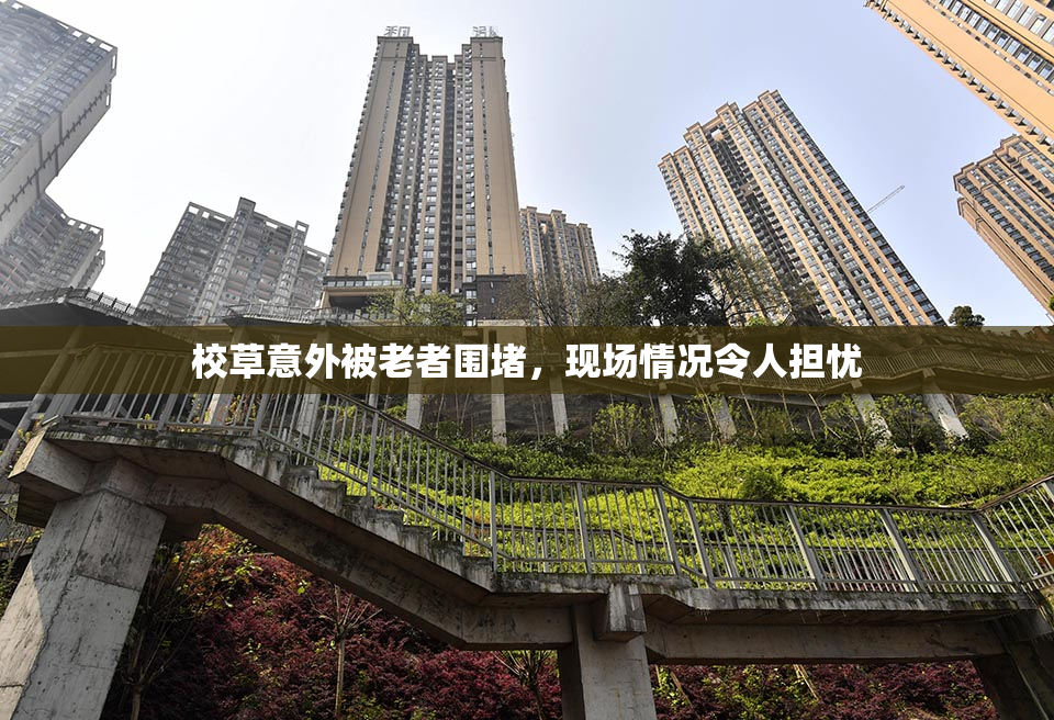 校草意外被老者围堵，现场情况令人担忧