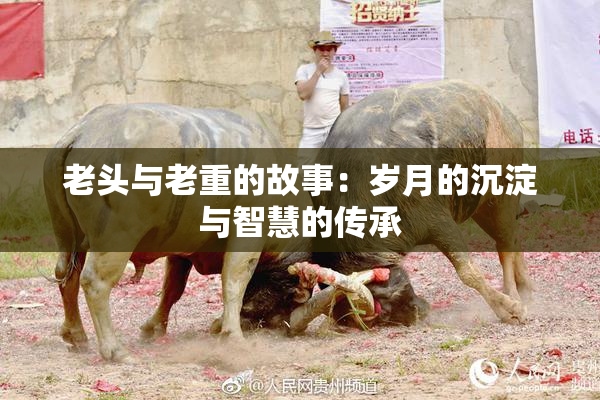 老头与老重的故事：岁月的沉淀与智慧的传承