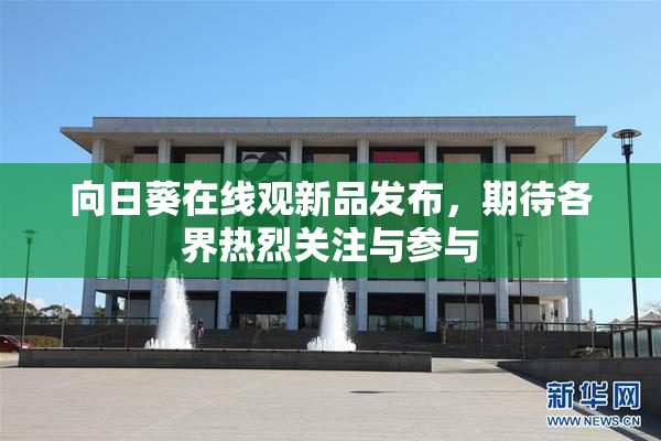向日葵在线观新品发布，期待各界热烈关注与参与