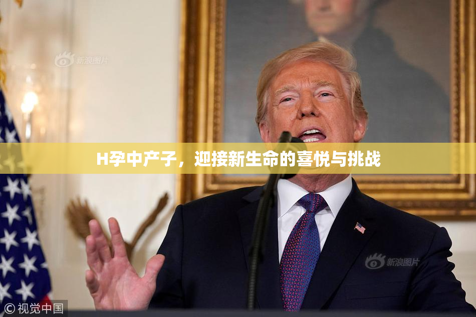 H孕中产子，迎接新生命的喜悦与挑战