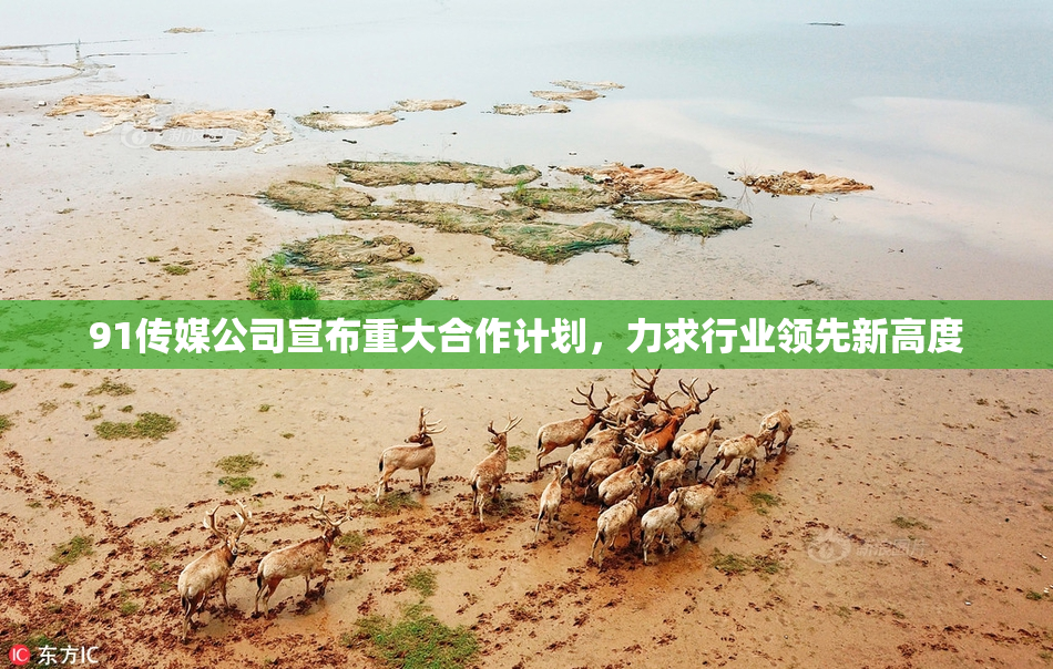 91传媒公司宣布重大合作计划，力求行业领先新高度