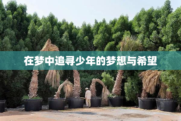 在梦中追寻少年的梦想与希望