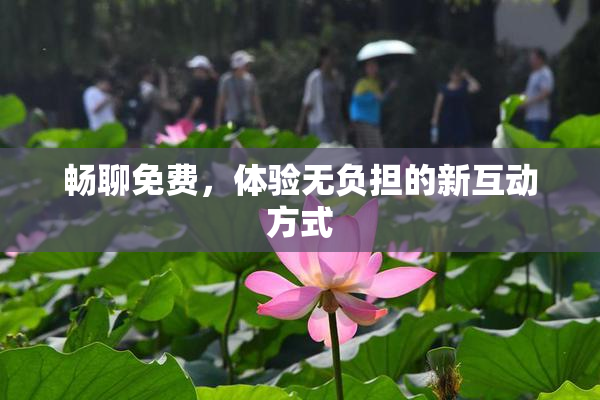 畅聊免费，体验无负担的新互动方式