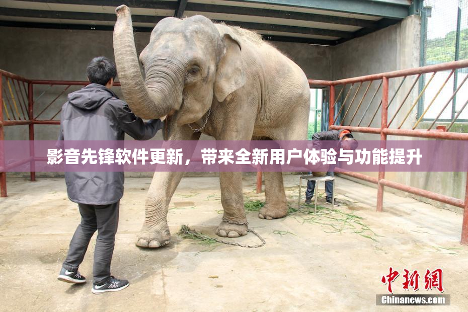 影音先锋软件更新，带来全新用户体验与功能提升