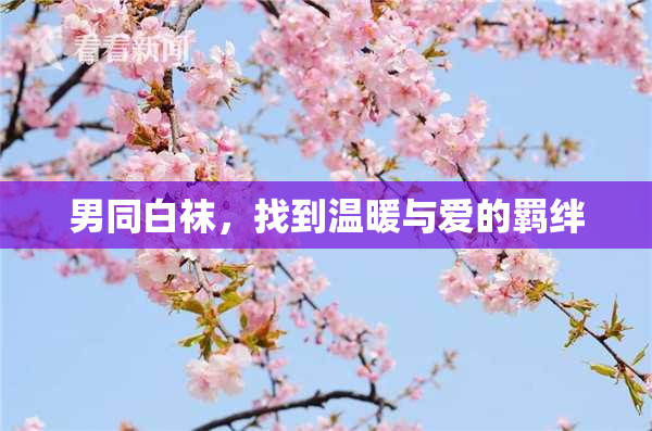 男同白袜，找到温暖与爱的羁绊