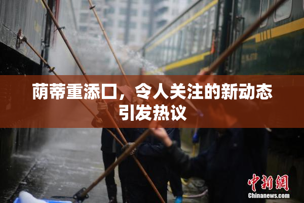 荫蒂重添囗，令人关注的新动态引发热议