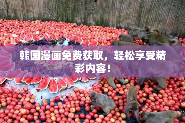 韩国漫画免费获取，轻松享受精彩内容！