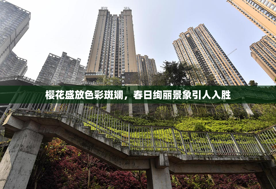 樱花盛放色彩斑斓，春日绚丽景象引人入胜