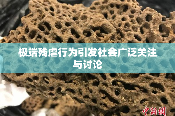 极端残虐行为引发社会广泛关注与讨论