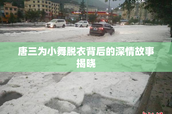唐三为小舞脱衣背后的深情故事揭晓