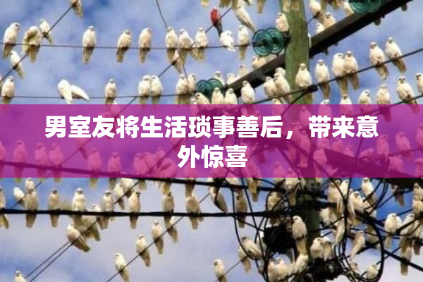 男室友将生活琐事善后，带来意外惊喜